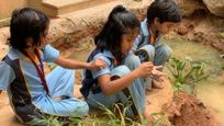 Aurinko Academy Lower Secondary (11+) - Homeschooling in Bangalore