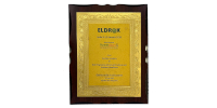 Aurinko Academy - Eldrok India K12 Awards 2019, Presented by Eldrok India K12 Summit