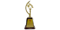 Aurinko Academy - WEFT Annual Conference and Awards 2019, Received for WEFT Transformational Leader of the Year